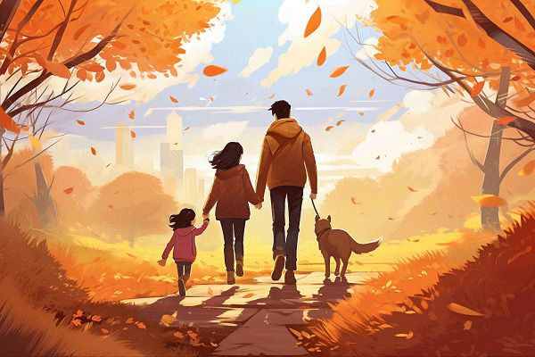 11月会计什么考试
