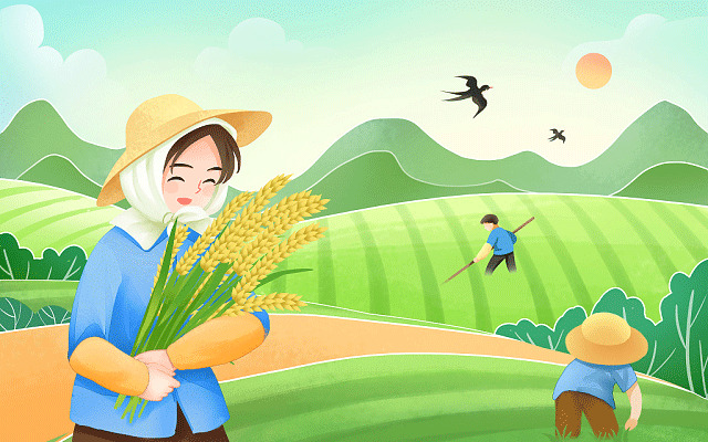 红河职业技术学院是几本