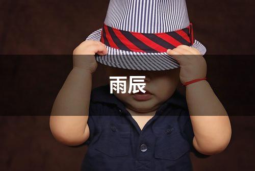 雨辰