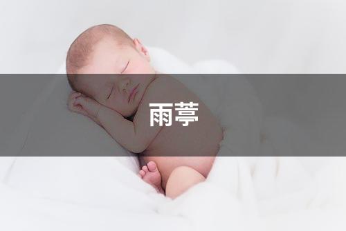 雨葶