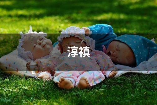 淳禛
