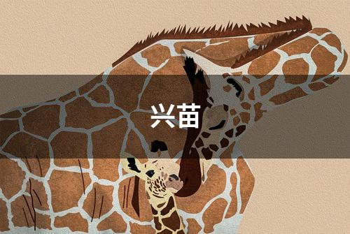 兴苗