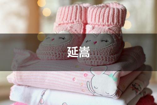 延嵩