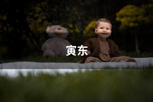 寅东