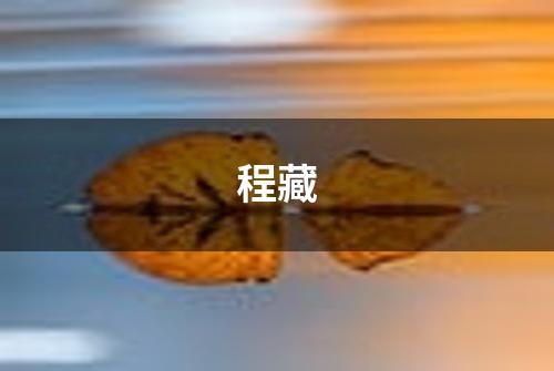 程藏