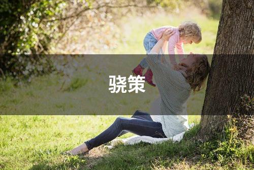 骁策