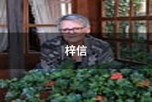 梓信