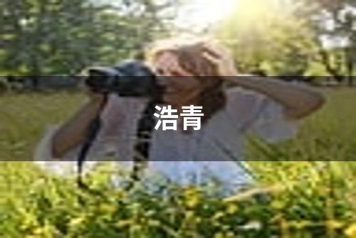 浩青