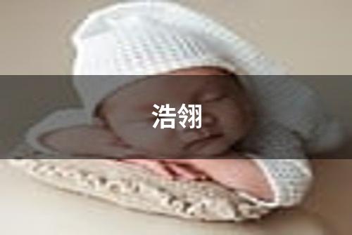 浩翎