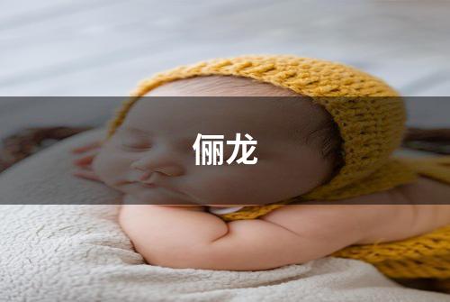 俪龙