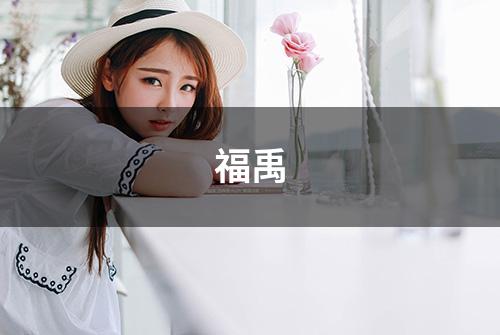 福禹