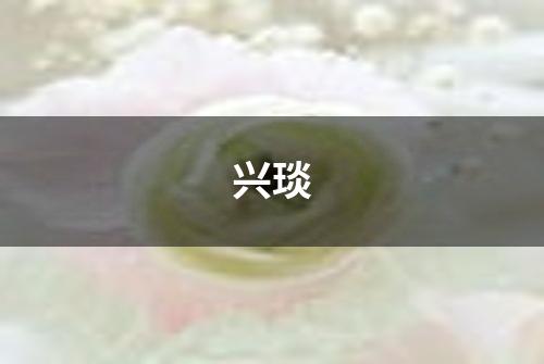 兴琰