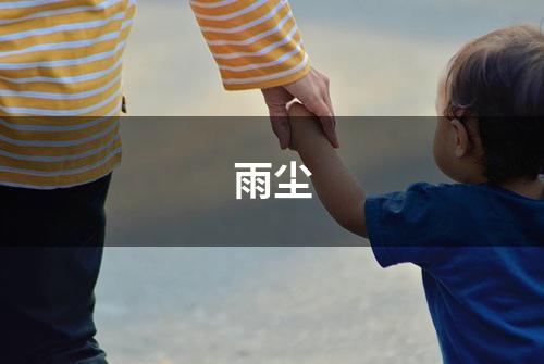 雨尘