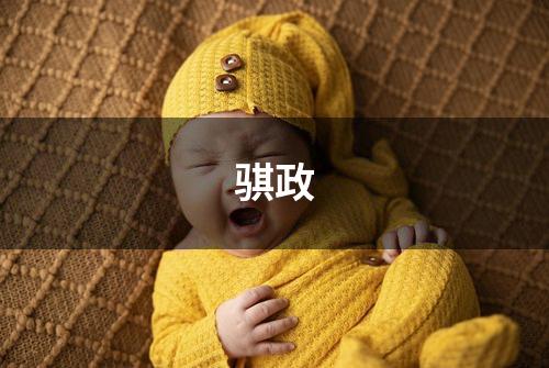 骐政