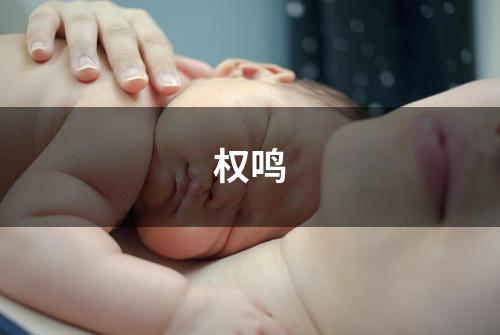权鸣