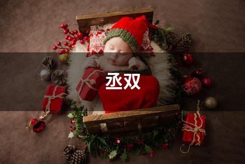 丞双