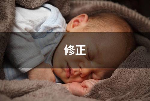 修正