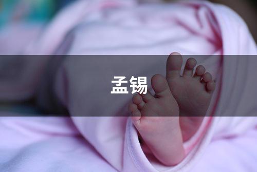 孟锡