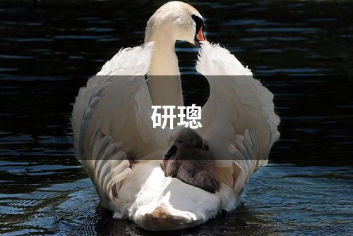 研璁