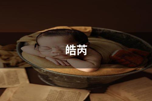 皓芮