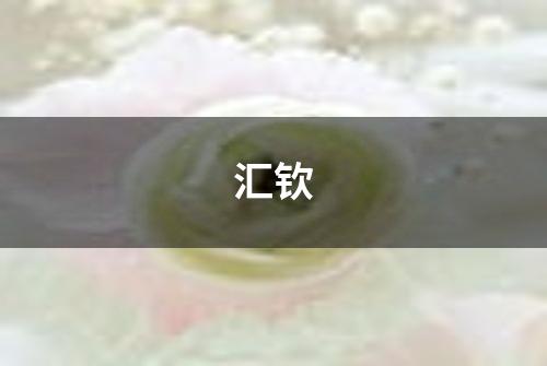 汇钦