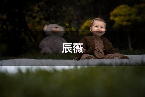 辰薇