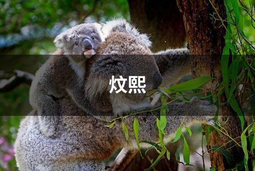 炆熙