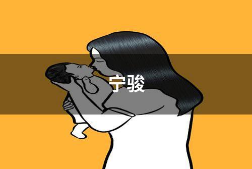 宁骏