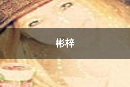 彬梓