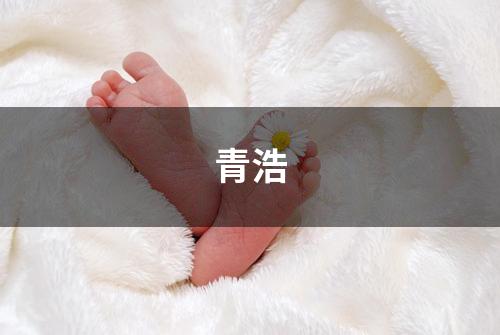 青浩