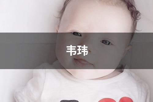 韦玮