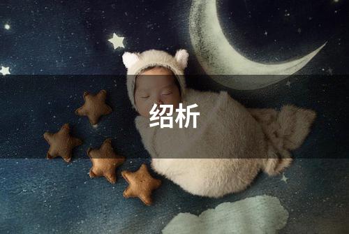 绍析