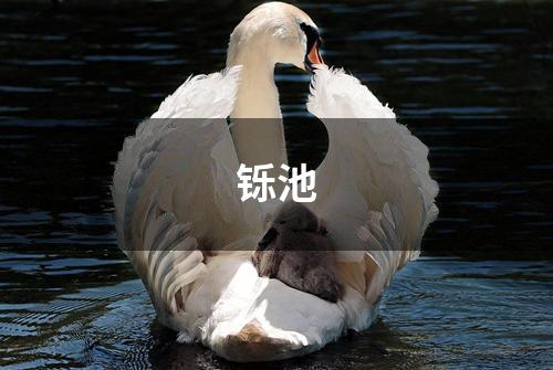 铄池