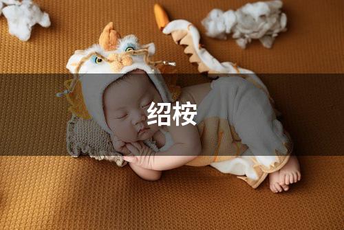 绍桉