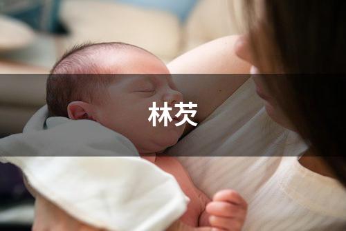 林芡