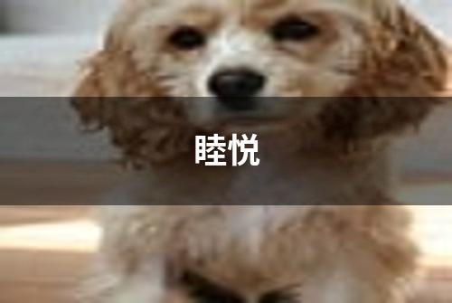 睦悦