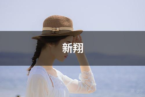 新翔
