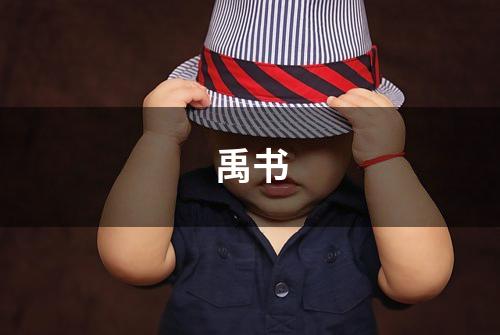 禹书