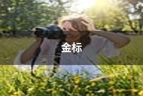 金标