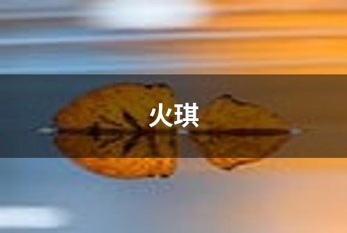 火琪