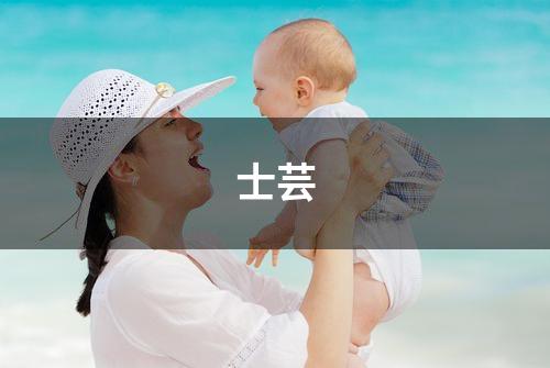 士芸